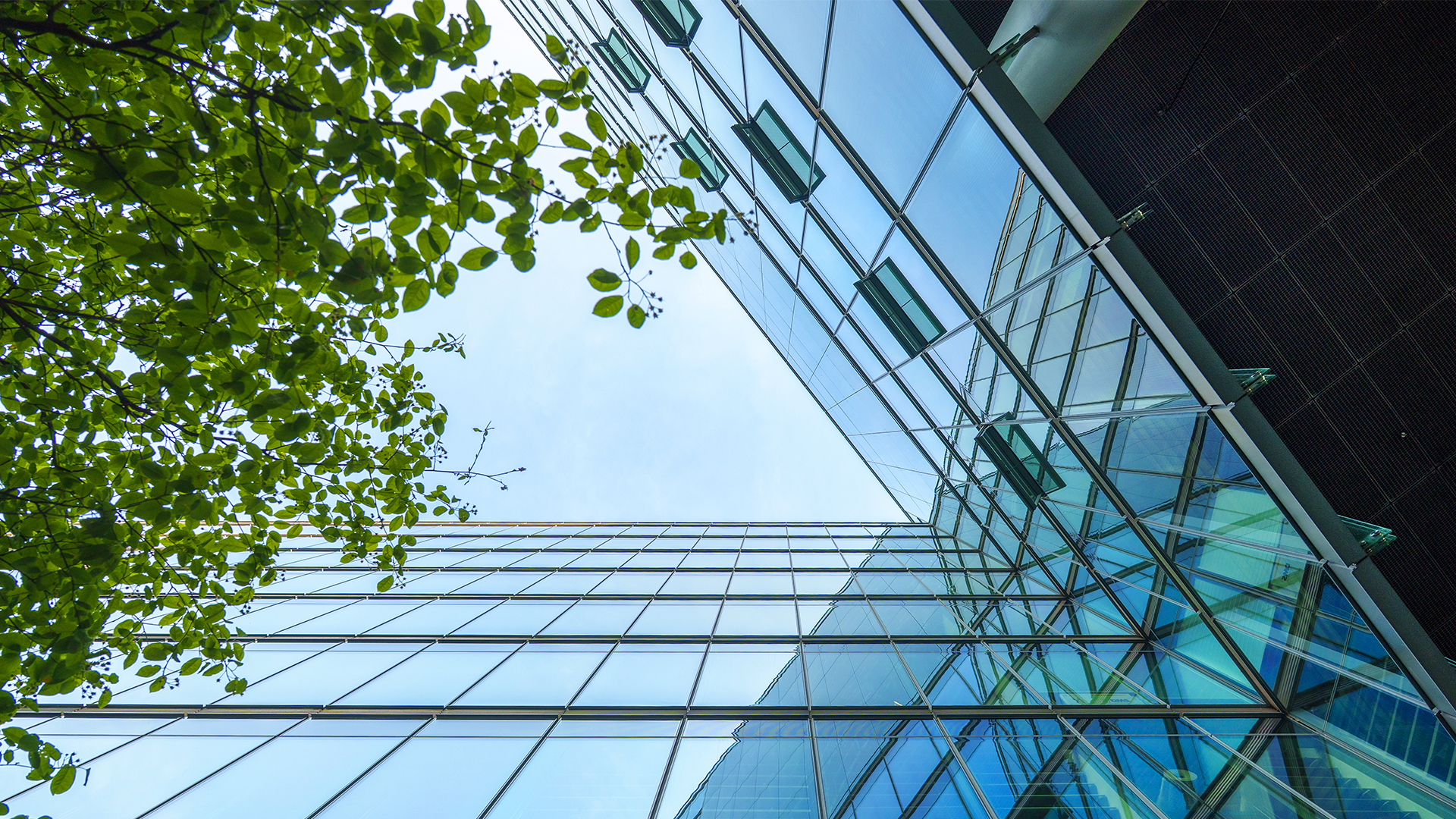 Gebäudereinigung Hamburg, Glasreinigung Hamburg, Mielke & Sohn